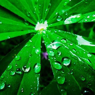 ip攻击器网页版