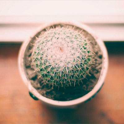 人事管理软件的DDOS网页端平台